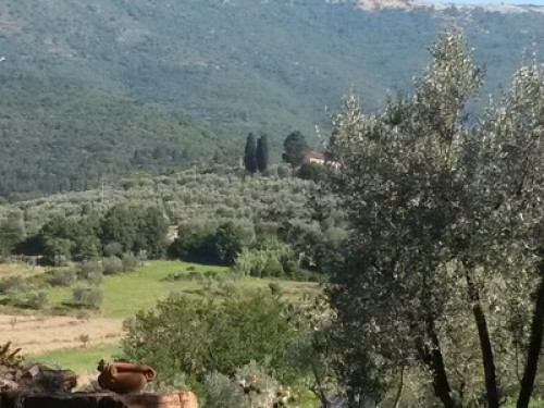 Tuscany, Florence, farmhouse - Gallery - 24