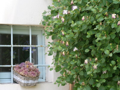 Tuscany, Florence, farmhouse - Gallery - 35