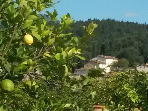 Tuscany, Florence, farmhouse - Gallery - 32