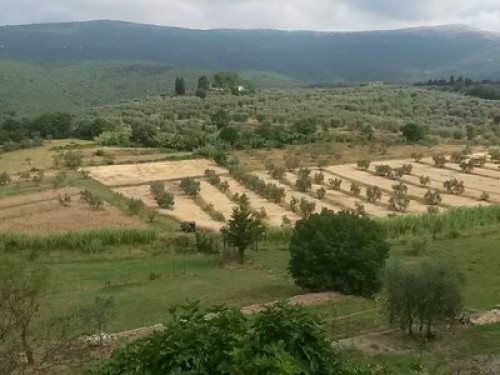 Tuscany, Florence, farmhouse - Gallery - 30