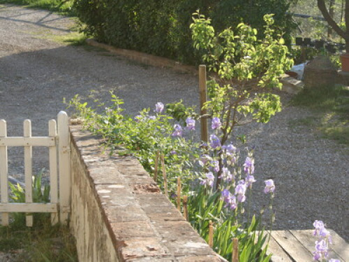 Tuscany, Florence, farmhouse - Gallery - 28