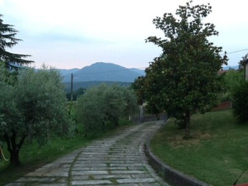 For lovers of peace - Gallery - 21