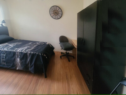 Friendly, comfy, safe surroundings - Gallery - 7