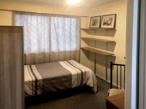 Friendly, comfy, safe surroundings - Gallery - 6