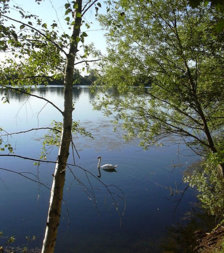 Exklusive Workation-Villa bei Frankfurt – 280 m² . 3 Work-Bedrooms