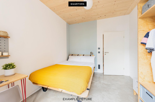 Homely single bedroom in Wedding