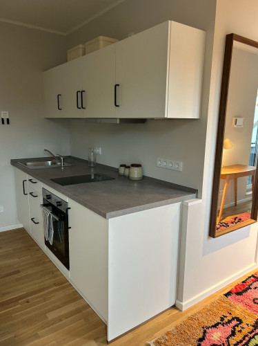 Elegant bright apartment in Potsdam next to Park Sanssouci - Gallery - 16