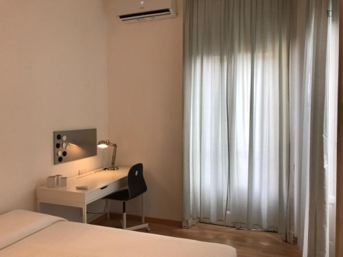 Lovely single bedroom in Città Studi