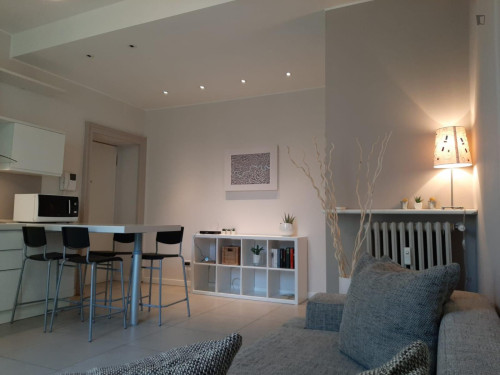 Charismatic 1-bedroom apartment near Parco Vittorio Formentano  - Gallery -  5