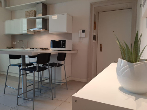 Charismatic 1-bedroom apartment near Parco Vittorio Formentano