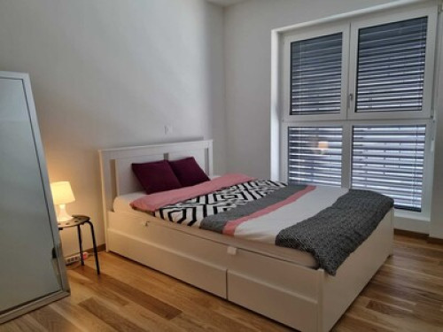 Room for 2 in Geneva