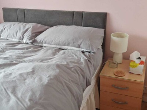 Very Handy Location  - Gallery -  5
