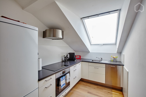 Central,charming, lovely suite (Frankfurt am Main), only 1 Person (Non-smoker) - Gallery - 11