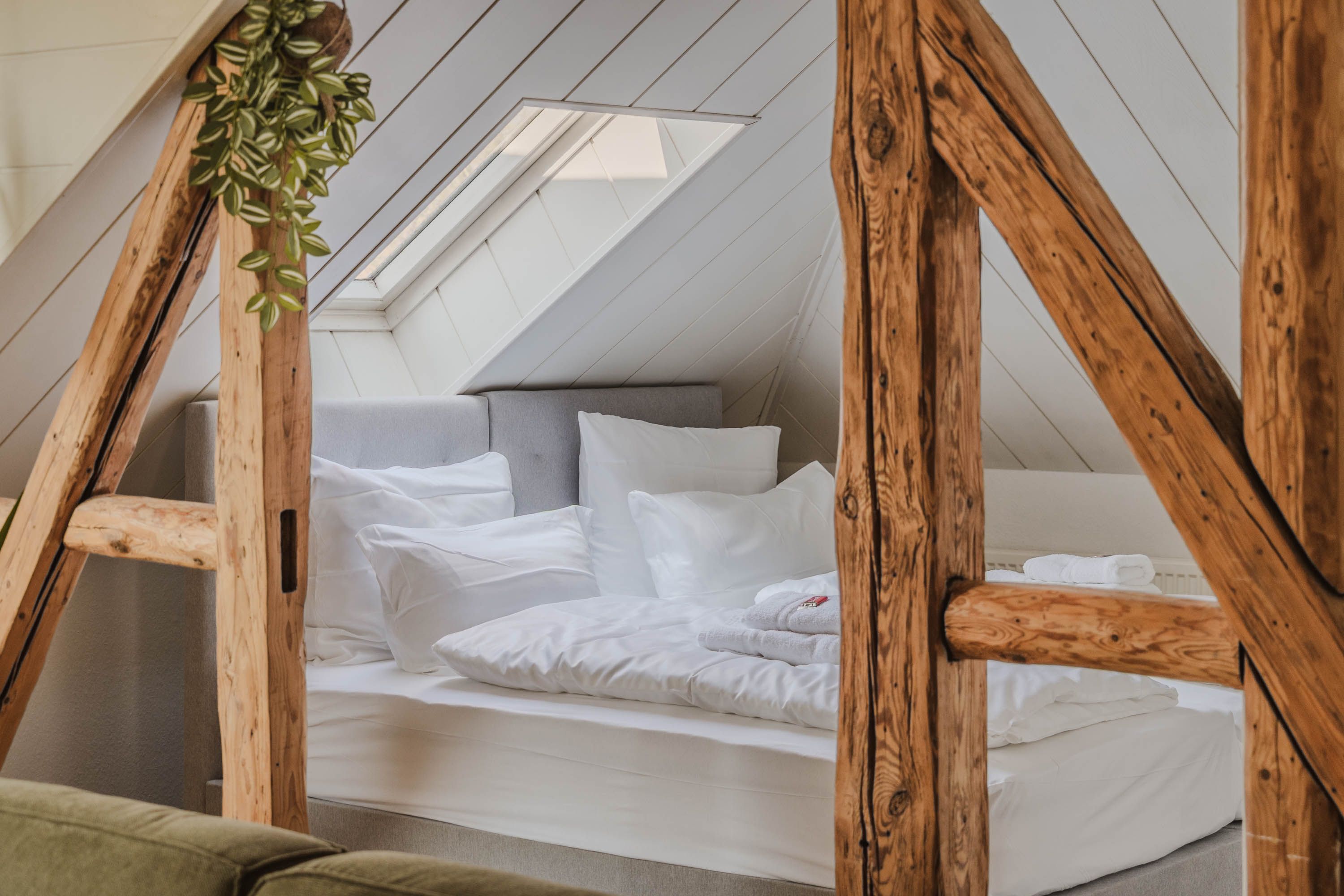 Penthouse In Hildesheims Philosophen Viertel - 28