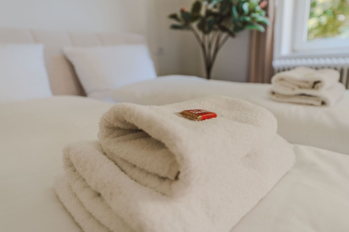 City Suite Philosophenviertel - stylish & central - Gallery - 7