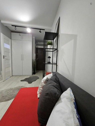 Comfy studio in Dębniki