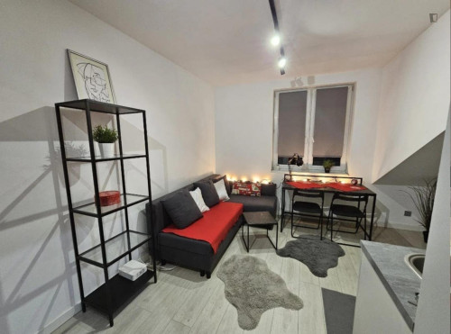 Comfy studio in Dębniki