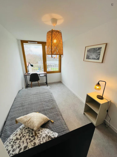 Lovely single bedroom close to the centre of Lyon