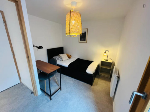 Lovely double bedroom close to the centre of Lyon