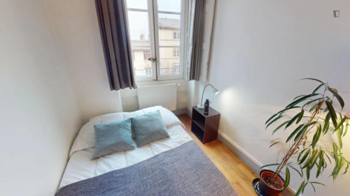 Inviting double bedroom in the Vieux Lyon - Quarantaine district