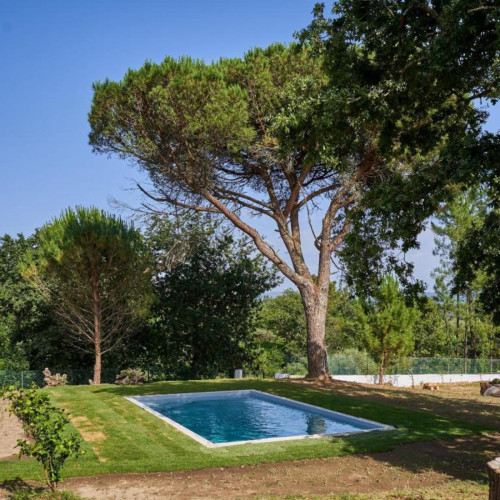 Amazing 2 Bedroom House close to Viana do Castelo Shipyards