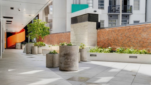 Auckland Central - Gallery - 11