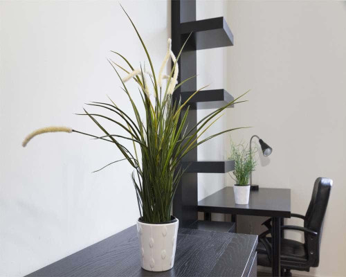 Stanza in Viale Abruzzi  - Gallery -  5