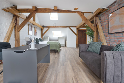 Superior 93sq.m Loft Apartment in Dessau-Roßlau - Gallery - 26