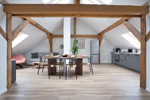 Superior 93sq.m Loft Apartment in Dessau-Roßlau - Gallery - 11