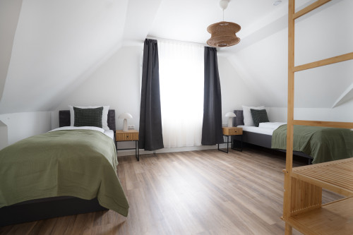 Superior 93sq.m Loft Apartment in Dessau-Roßlau - Gallery - 16
