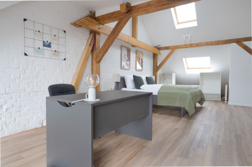 Superior 93sq.m Loft Apartment in Dessau-Roßlau - Gallery - 30