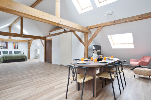 Superior 93sq.m Loft Apartment in Dessau-Roßlau - Gallery - 28