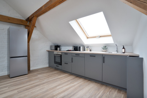Superior 93sq.m Loft Apartment in Dessau-Roßlau - Gallery - 14
