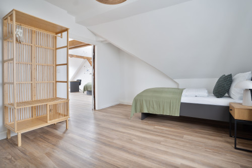 Superior 93sq.m Loft Apartment in Dessau-Roßlau