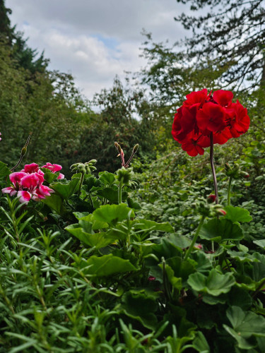 Garage included: Forest-Edge Apartment near Trade Fair & Airport