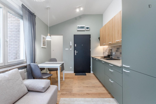Sublime studio in the Ursus district