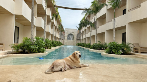 Stunning Luxury Complex w/ Pool + Terrace + BBQ zone near the Beach and close to Hotel Zone Residence