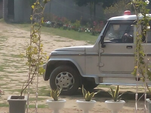 Jungjung home stay Dimapur.