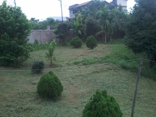 Jungjung home stay Dimapur. - Gallery - 6