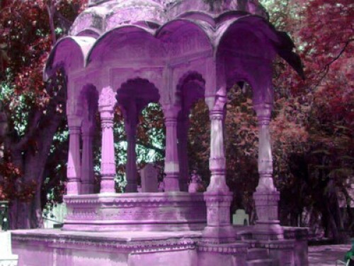 Oasis Dudore