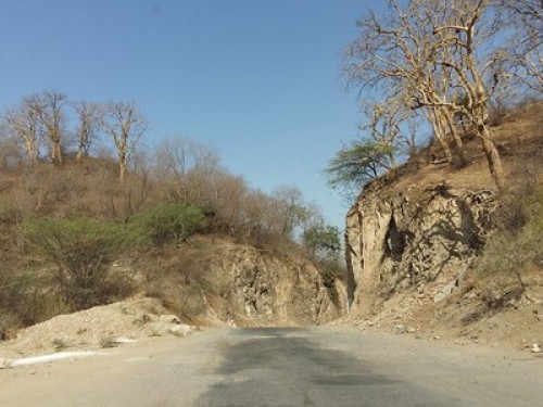Oasis Dudore - Gallery - 10