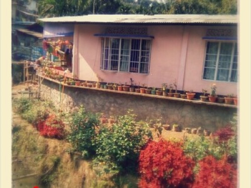 peaceful accomodation - Gallery - 9