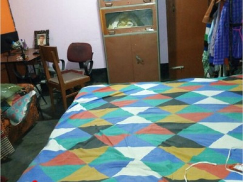 peaceful accomodation - Gallery - 10