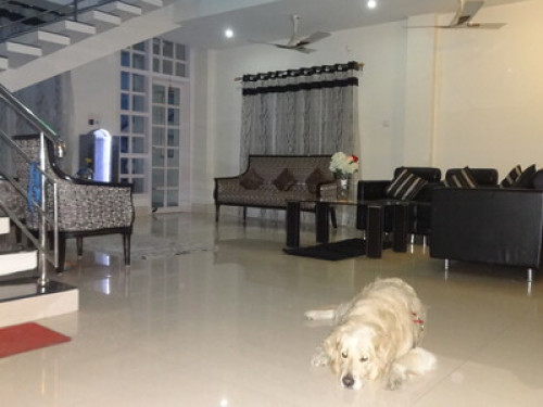 Cozy private room in a Duplex House - Gallery - 24