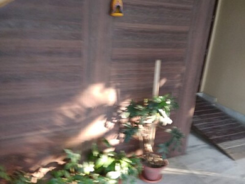 Purnima