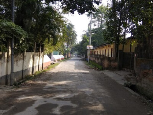 Purnima  - Gallery -  5