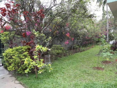 Green View Guest House - Gallery - 8