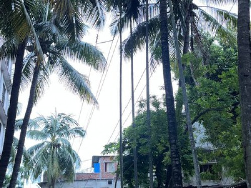 3BHK Vintage Golden Snow Suite