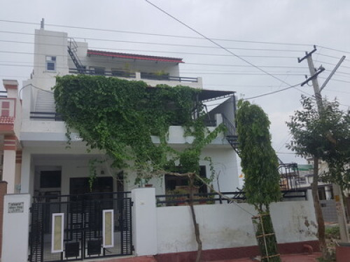 Real life natural life