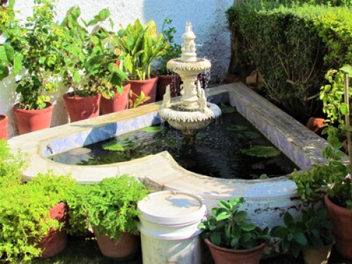 Heritage Bungalow 97 Ajmer - Gallery - 14